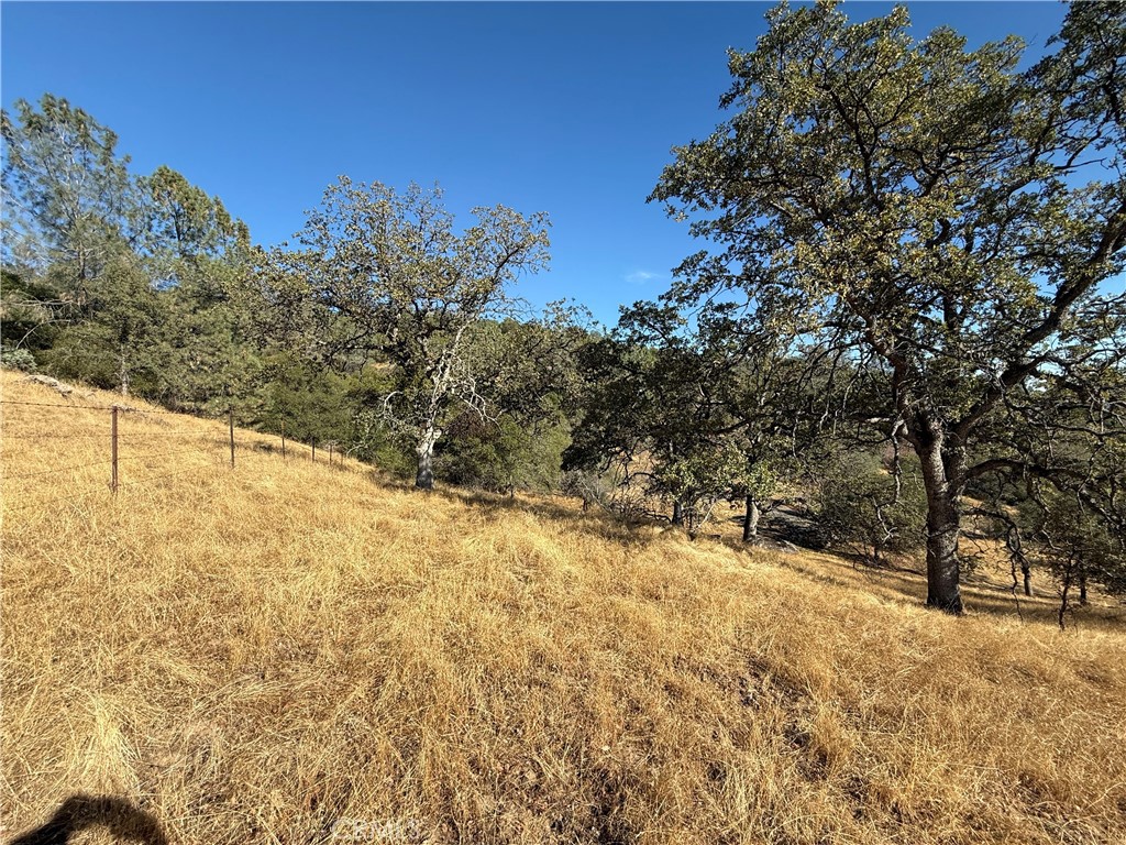 0 39.12 AC Ward Mountain, O'Neals, CA 92645