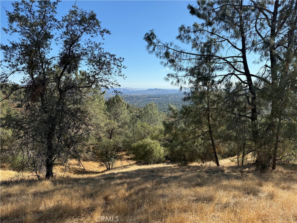 0 39.12 AC Ward Mountain, O'Neals, CA 92645
