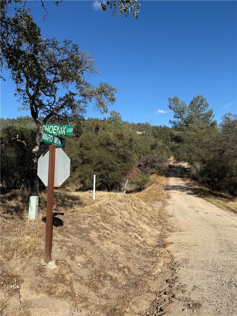 0 39.12 AC Ward Mountain, O'Neals, CA 92645