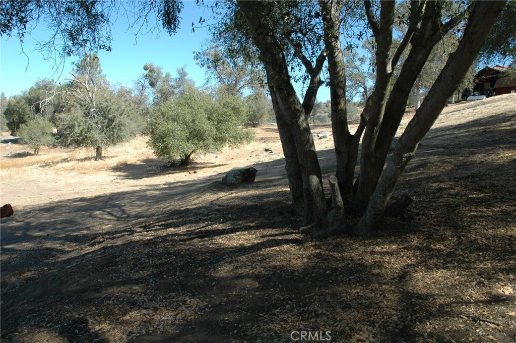 30717 Seminole Dr, Coarsegold, CA 93614