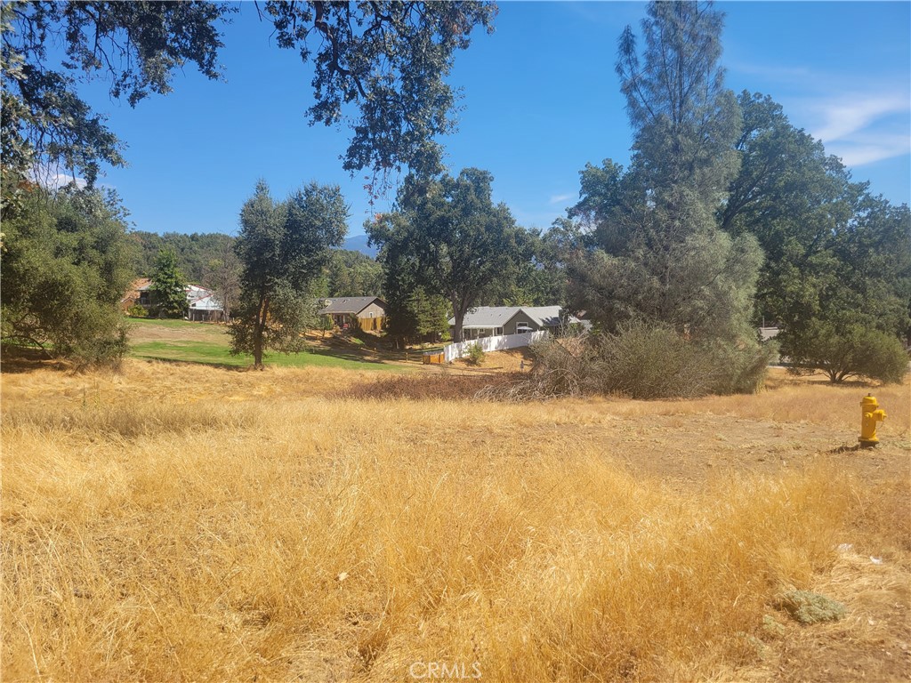 1 Acre Griffin Dr, Oakhurst, CA 93644