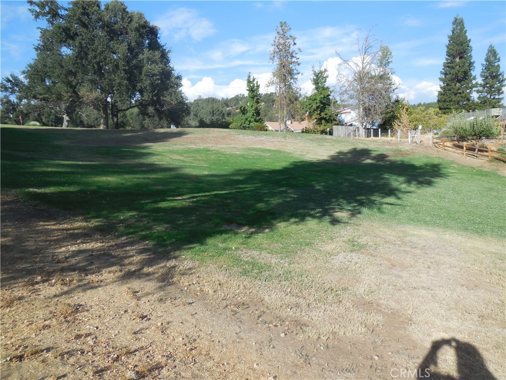 1 Acre Griffin Dr, Oakhurst, CA 93644