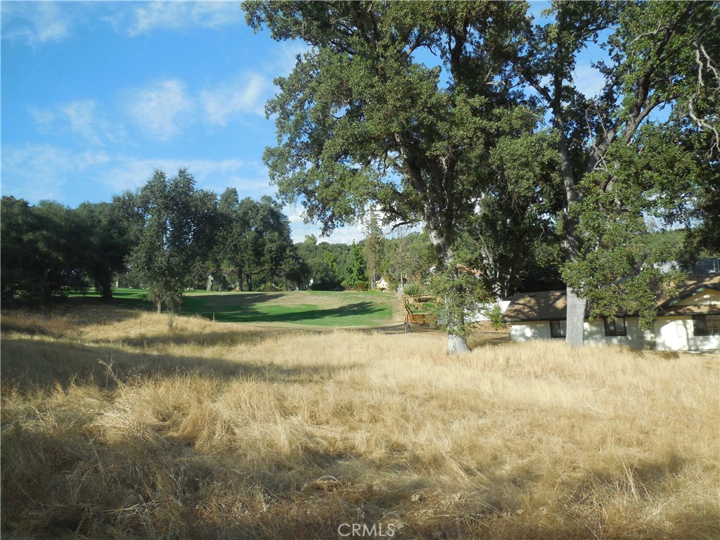 1 Acre Griffin Dr, Oakhurst, CA 93644