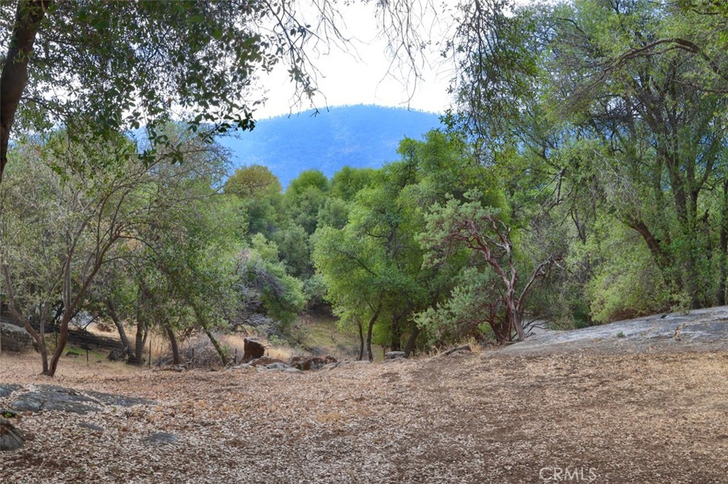 51648 Coyote Ridge, Oakhurst, CA 93644