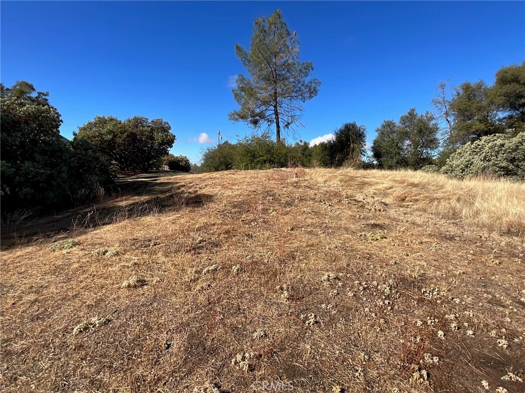 32011 Meadowridge Rd, Coarsegold, CA 93614