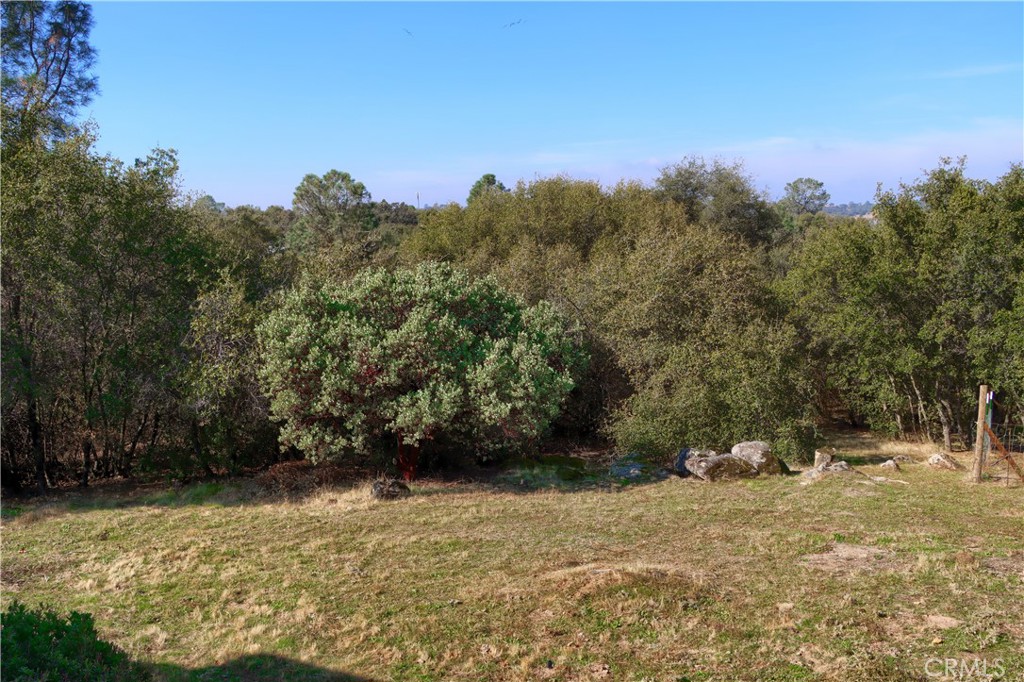 31678 Buck Run, Coarsegold, CA 93614