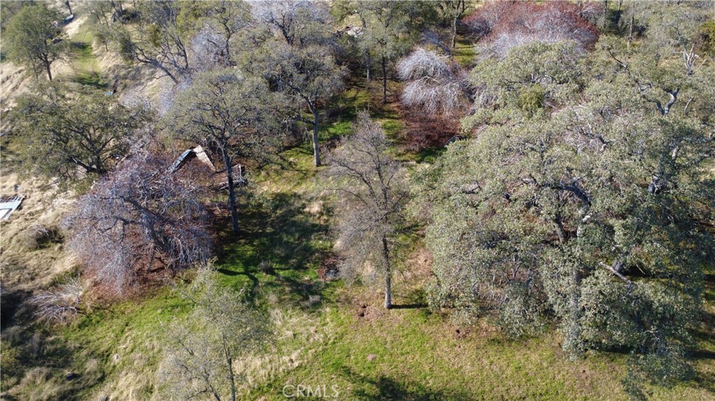 46918 Creekside Rd, Squaw Valley, CA 93675