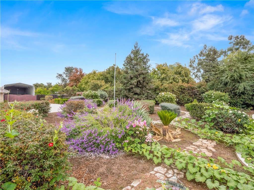 35673 Avenue 12 1/2, Madera, CA 93636