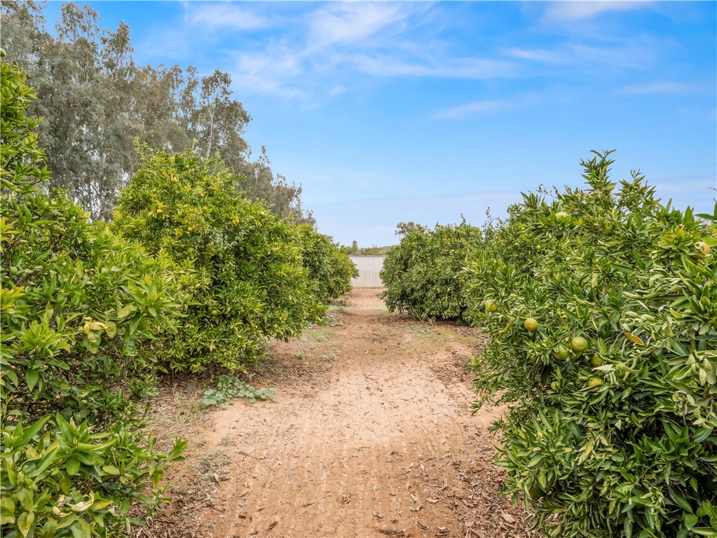 35673 Avenue 12 1/2, Madera, CA 93636