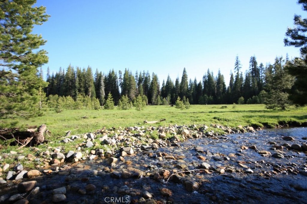 10 AC Beasore Rd, Bass Lake, CA 93604