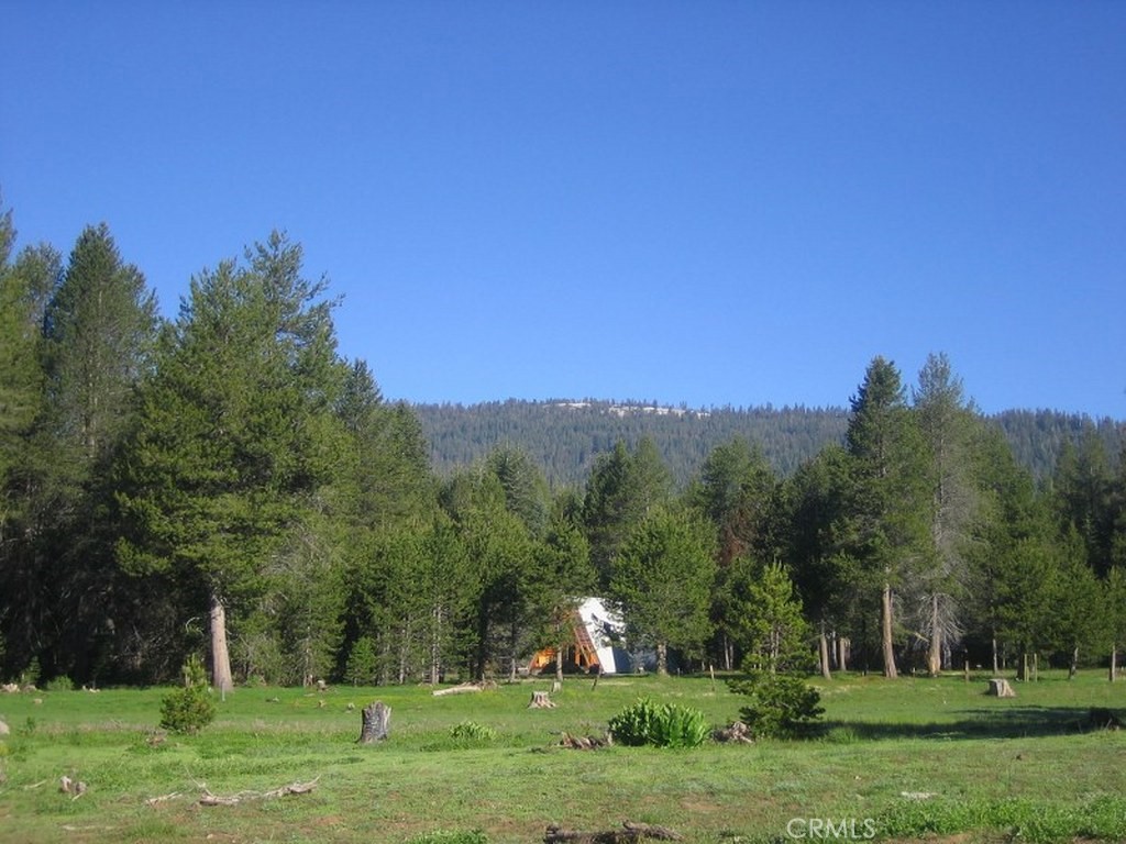 10 AC Beasore Rd, Bass Lake, CA 93604