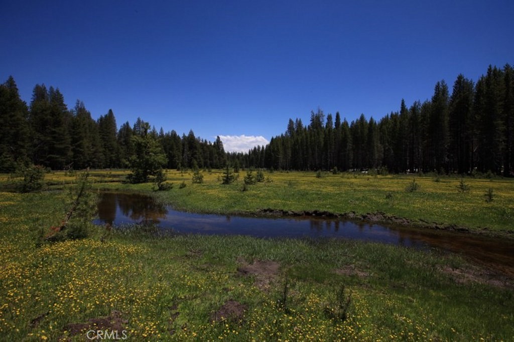 10 AC Beasore Rd, Bass Lake, CA 93604