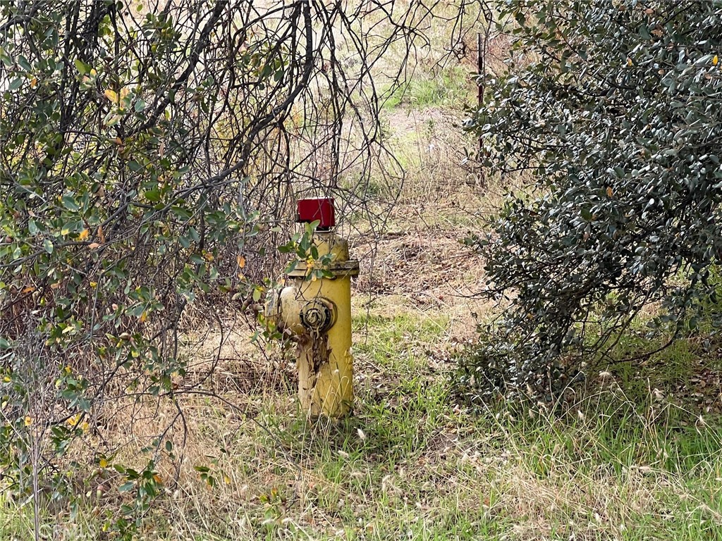 0 Hangtree Ct, Oakhurst, CA 93644