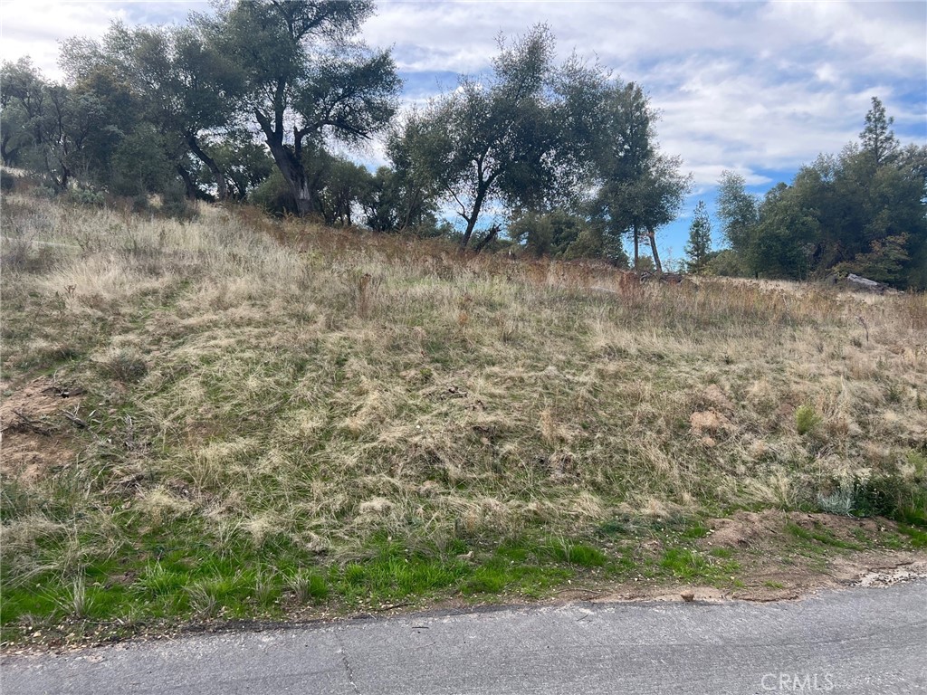 0 Hangtree Ct, Oakhurst, CA 93644