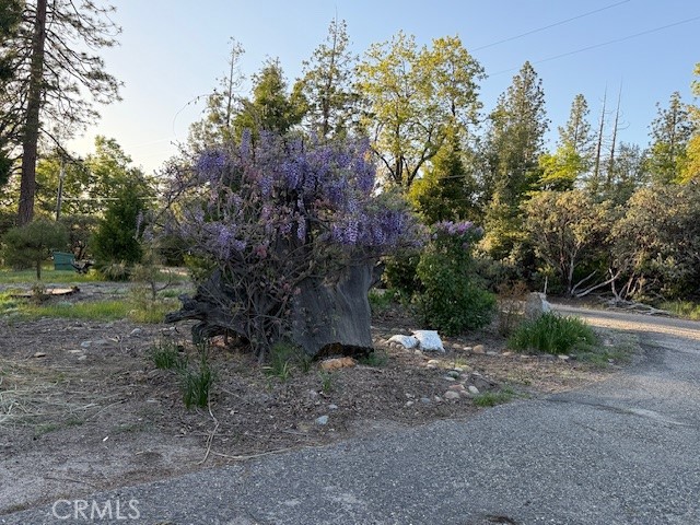 39468 Summit Dr, Oakhurst, CA 93644
