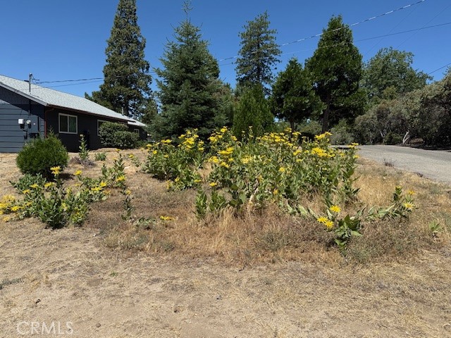 39468 Summit Dr, Oakhurst, CA 93644