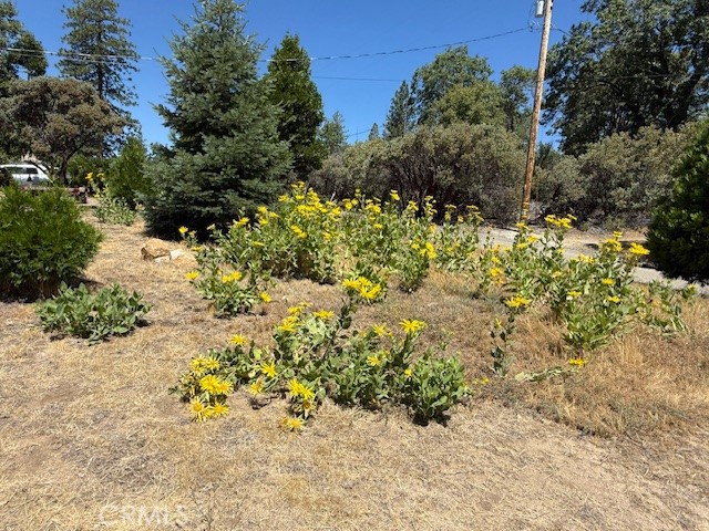 39468 Summit Dr, Oakhurst, CA 93644