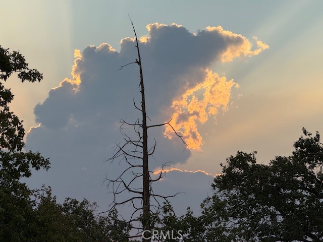 39468 Summit Dr, Oakhurst, CA 93644