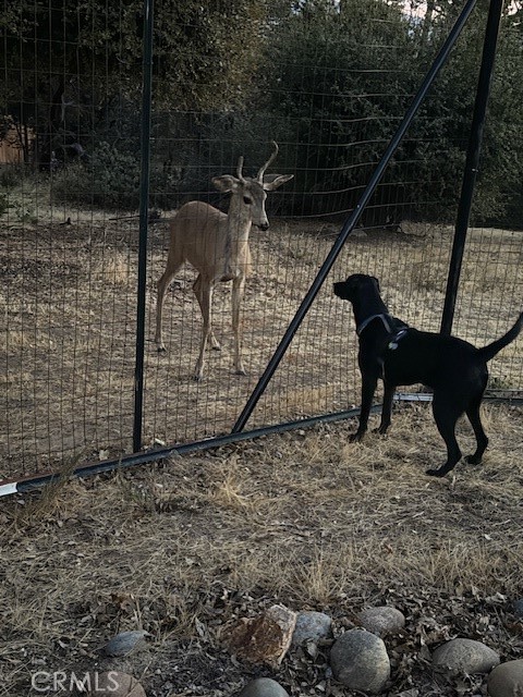 39468 Summit Dr, Oakhurst, CA 93644