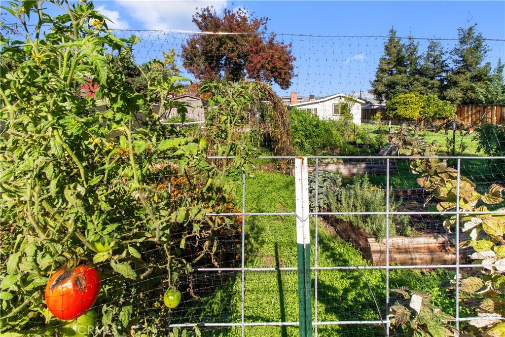 1421 Pontiac, Oakdale, CA 95361