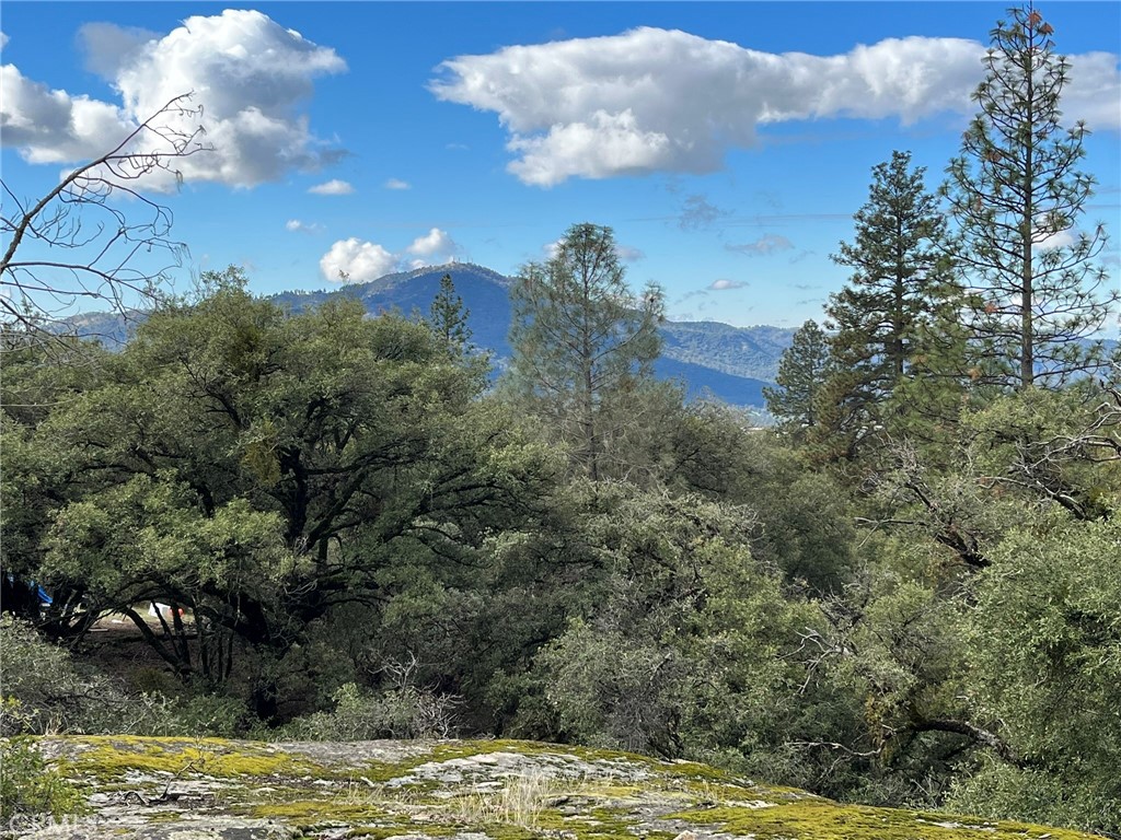 0 E Jean Rd, Oakhurst, CA 93644