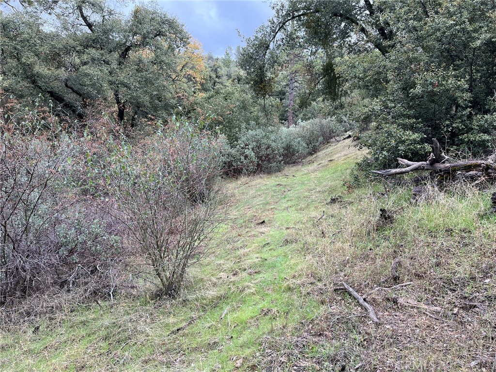 0 E Jean Rd, Oakhurst, CA 93644