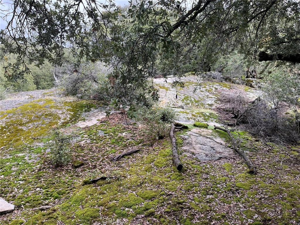 0 E Jean Rd, Oakhurst, CA 93644