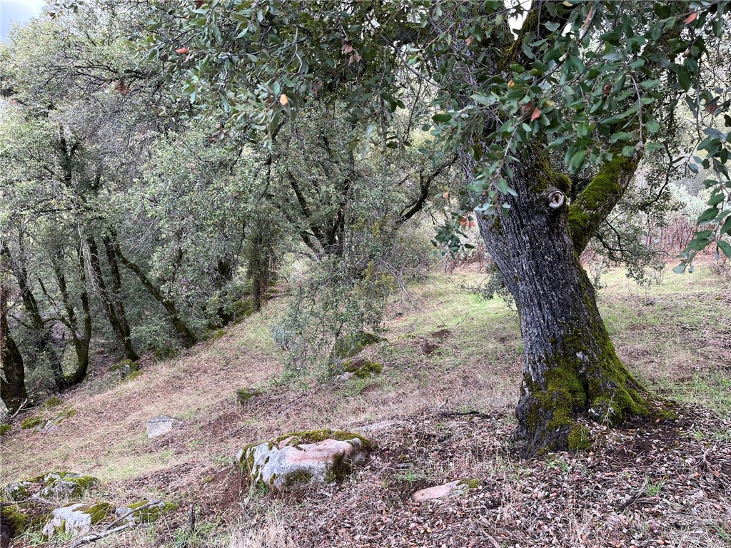 0 E Jean Rd, Oakhurst, CA 93644