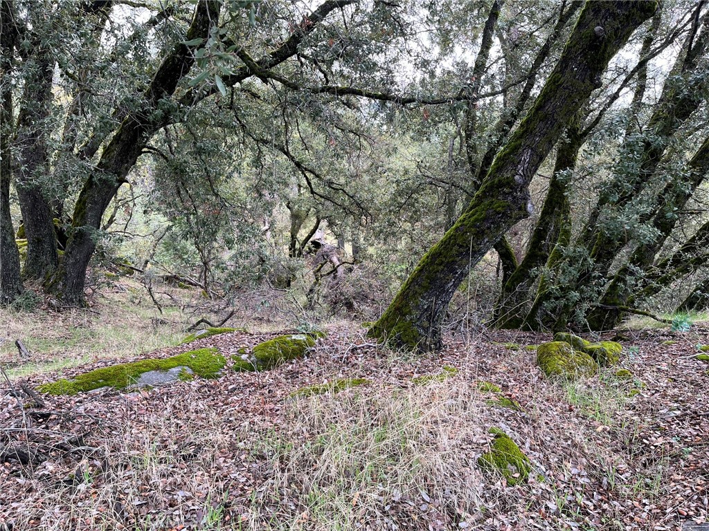 0 E Jean Rd, Oakhurst, CA 93644