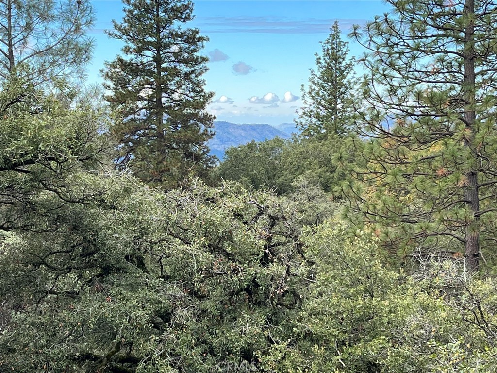 0 E Jean Rd, Oakhurst, CA 93644