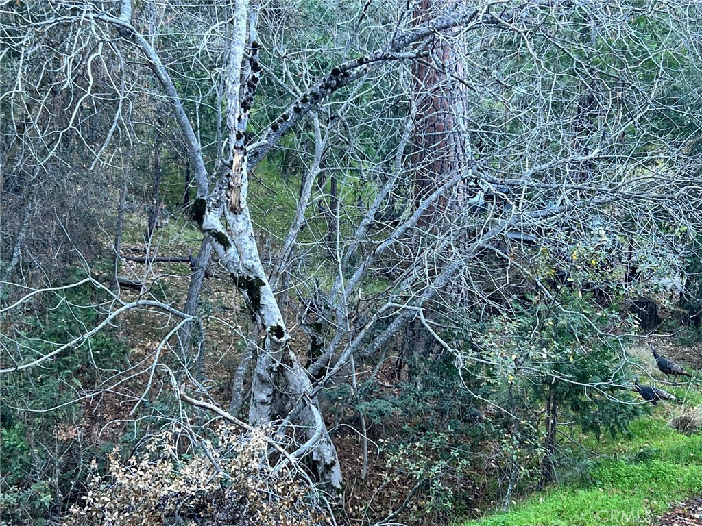 0 Snowy Creek Way, Coarsegold, CA 93614