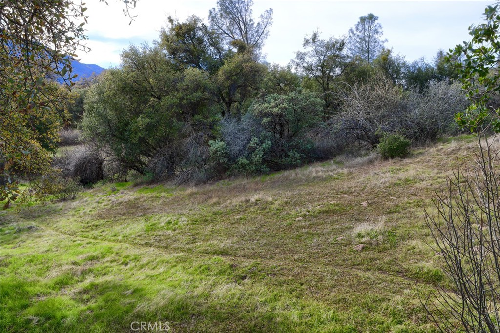 40740 Road 425A, Oakhurst, CA 93644