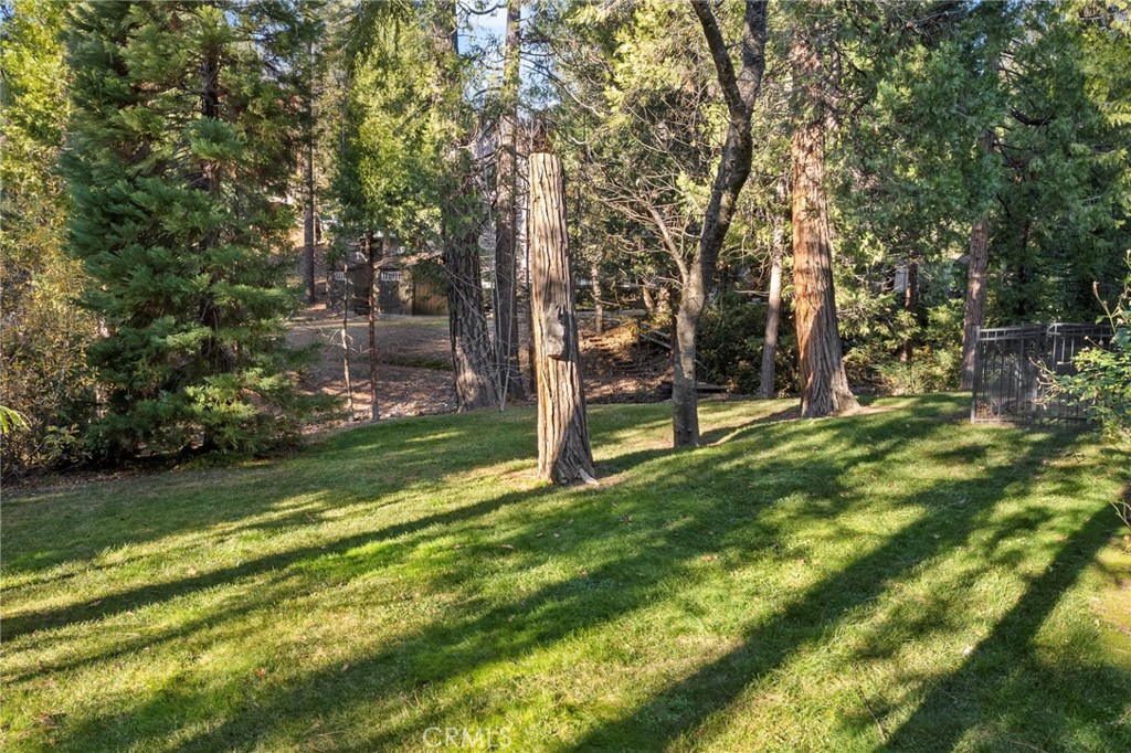 53875 Dogwood Creek, Bass Lake, CA 93604