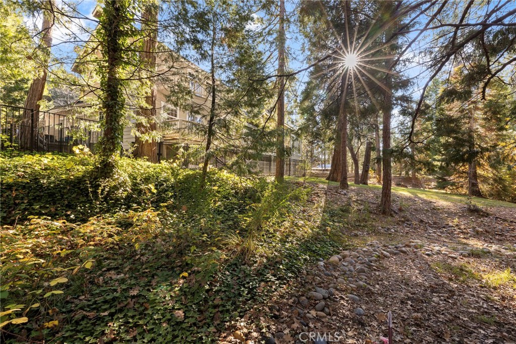 53875 Dogwood Creek, Bass Lake, CA 93604