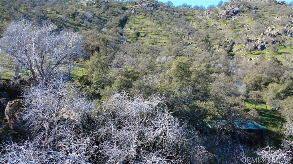 37087 Pebble, Squaw Valley, CA 93675