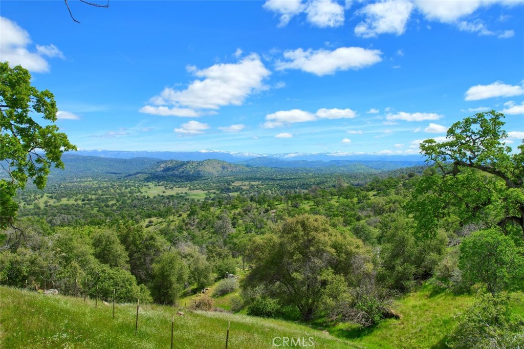 42625 Red Top Mountain Ct, Coarsegold, CA 93614