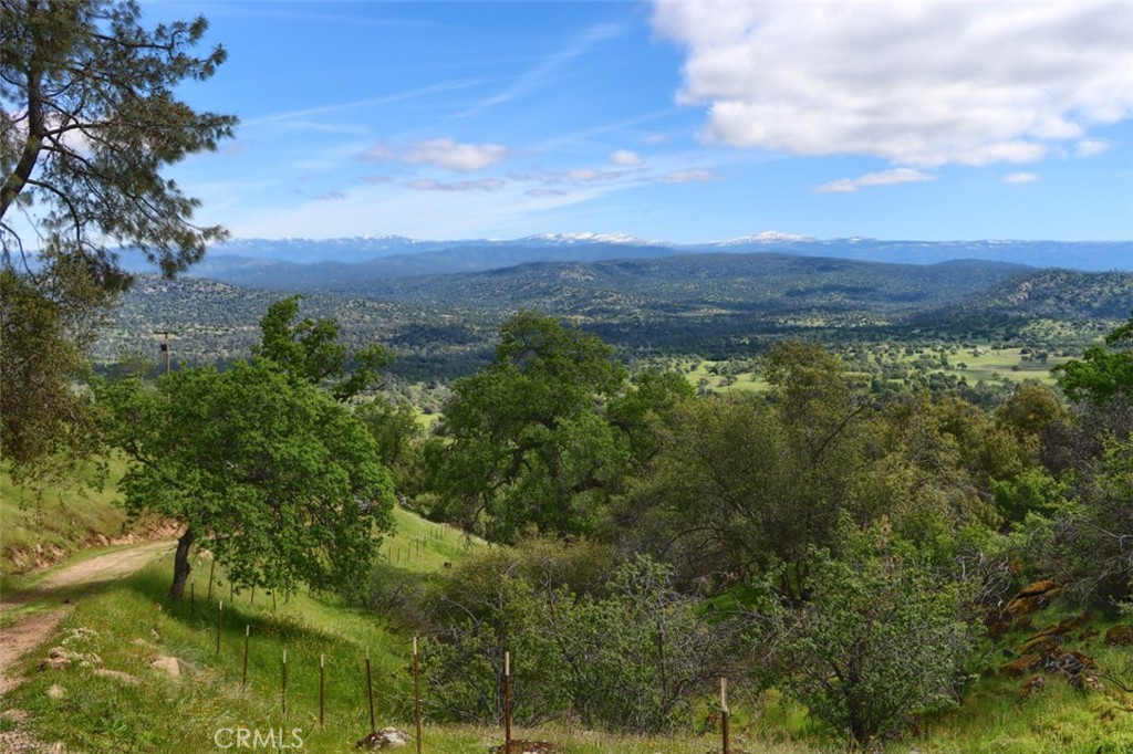 42625 Red Top Mountain Ct, Coarsegold, CA 93614