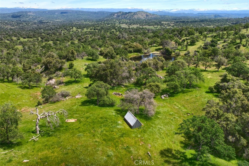 42625 Red Top Mountain Ct, Coarsegold, CA 93614