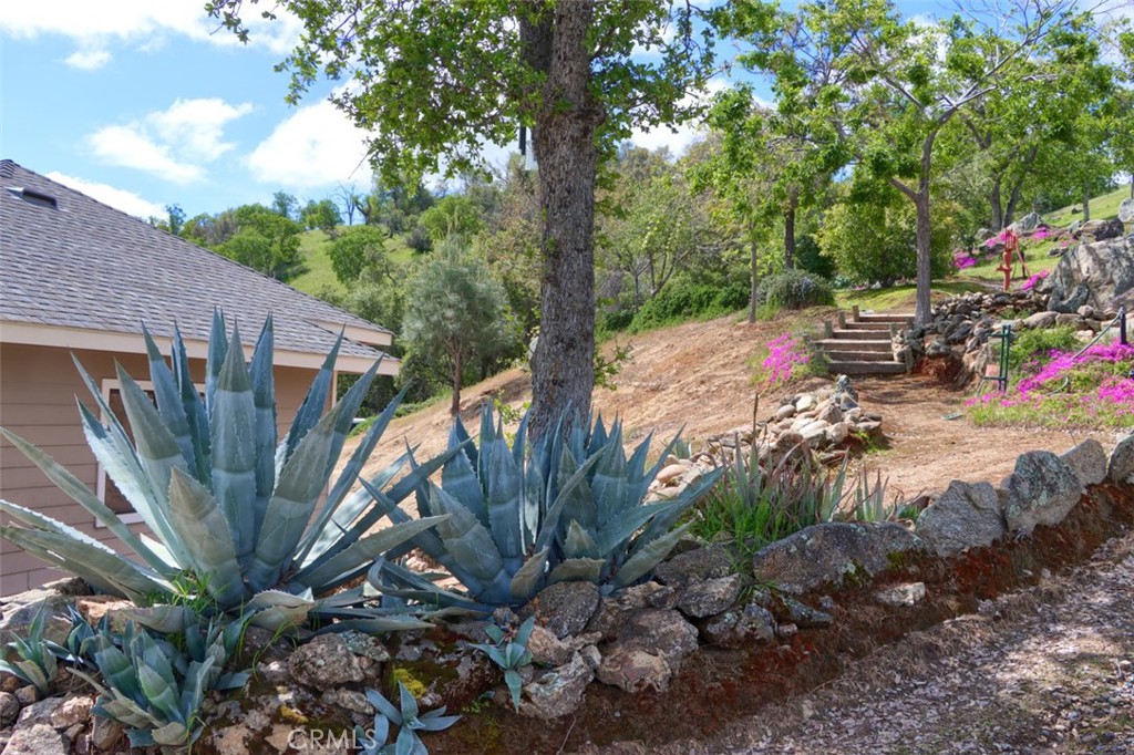 42625 Red Top Mountain Ct, Coarsegold, CA 93614