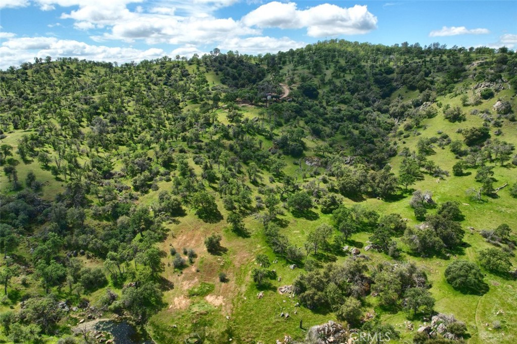 42625 Red Top Mountain Ct, Coarsegold, CA 93614