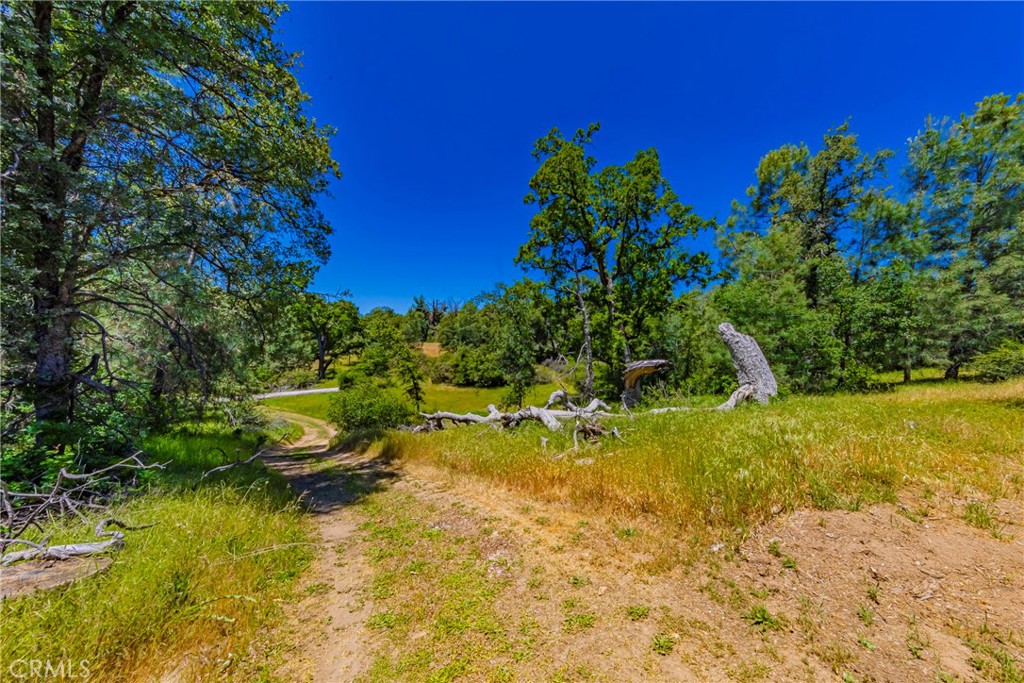 47457 Road 620, Oakhurst, CA 93644