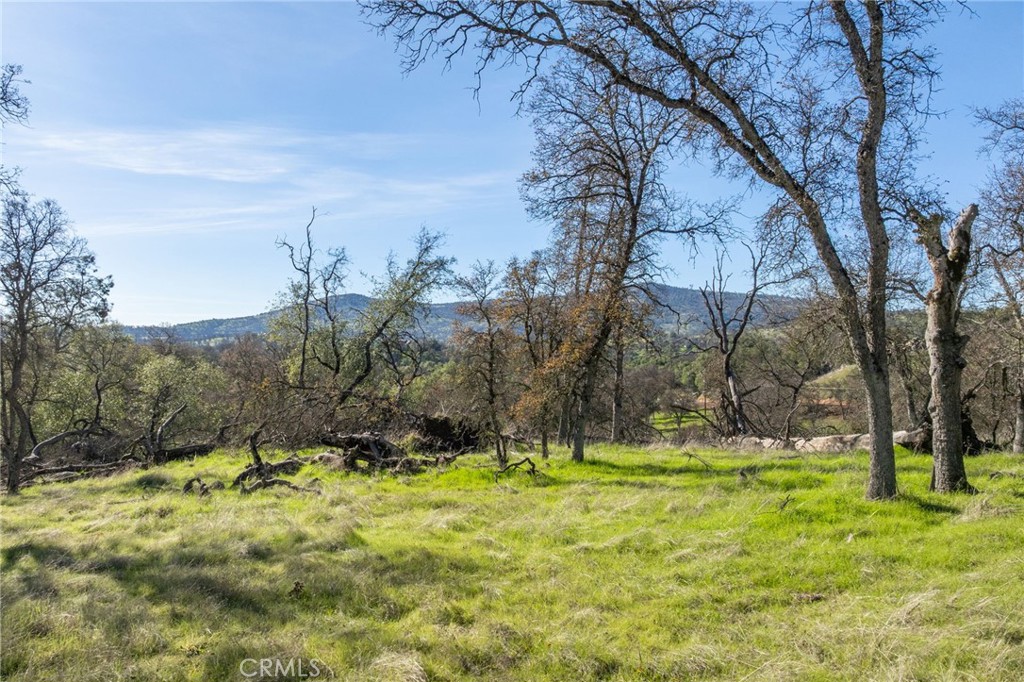 5448 Dunn Ct, Catheys Valley, CA 95306