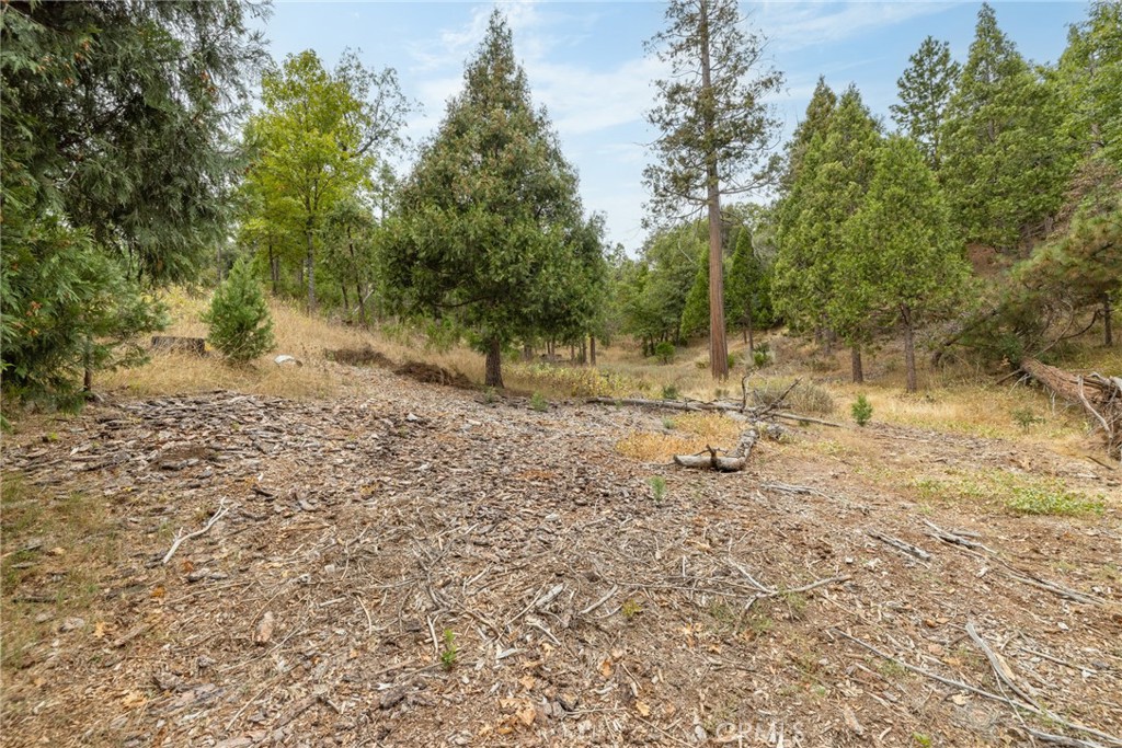 26 Timberview, North Fork, CA 93643