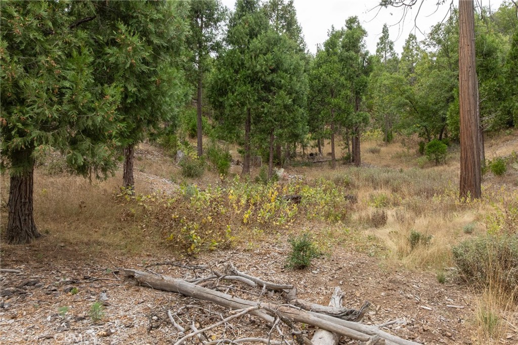 26 Timberview, North Fork, CA 93643