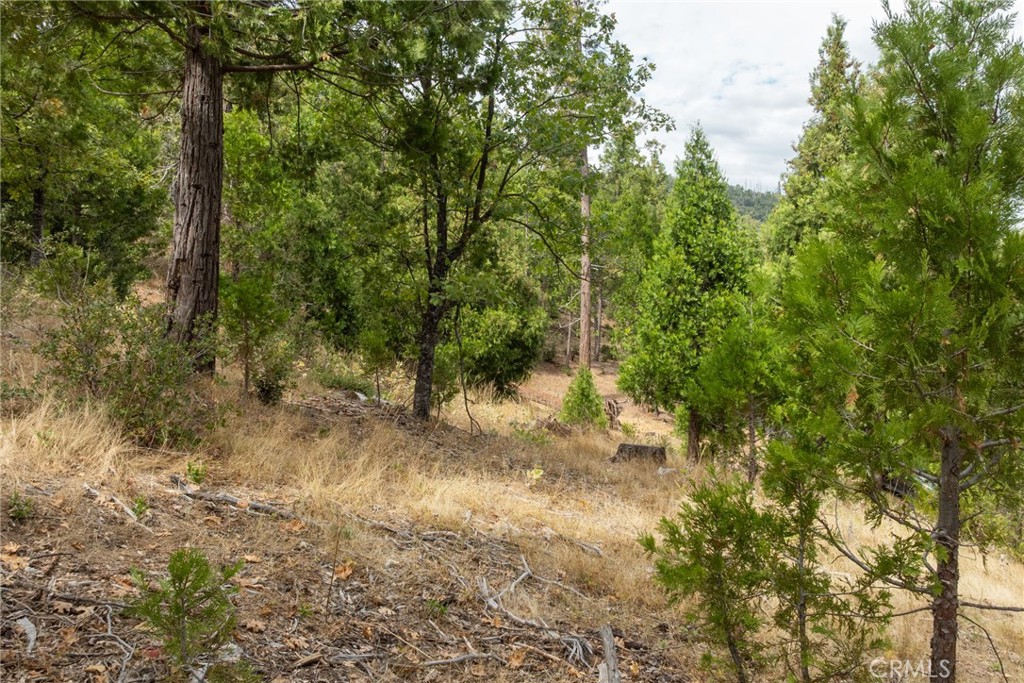 26 Timberview, North Fork, CA 93643