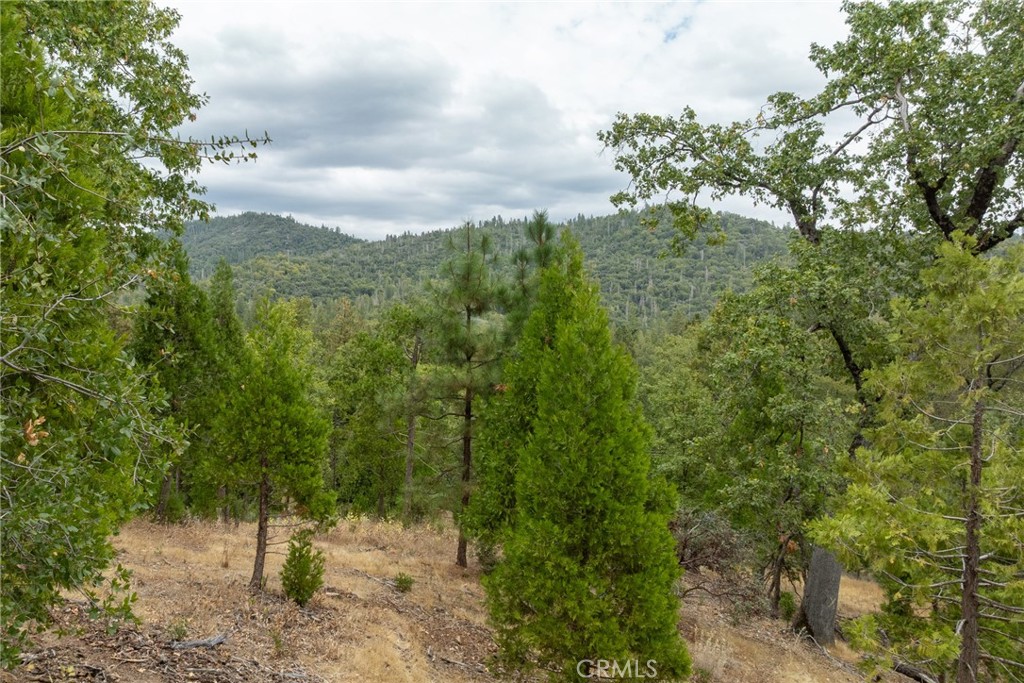 26 Timberview, North Fork, CA 93643