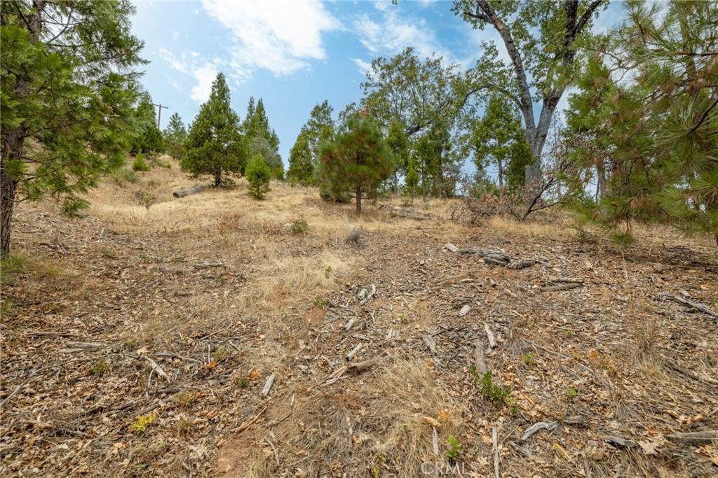 26 Timberview, North Fork, CA 93643