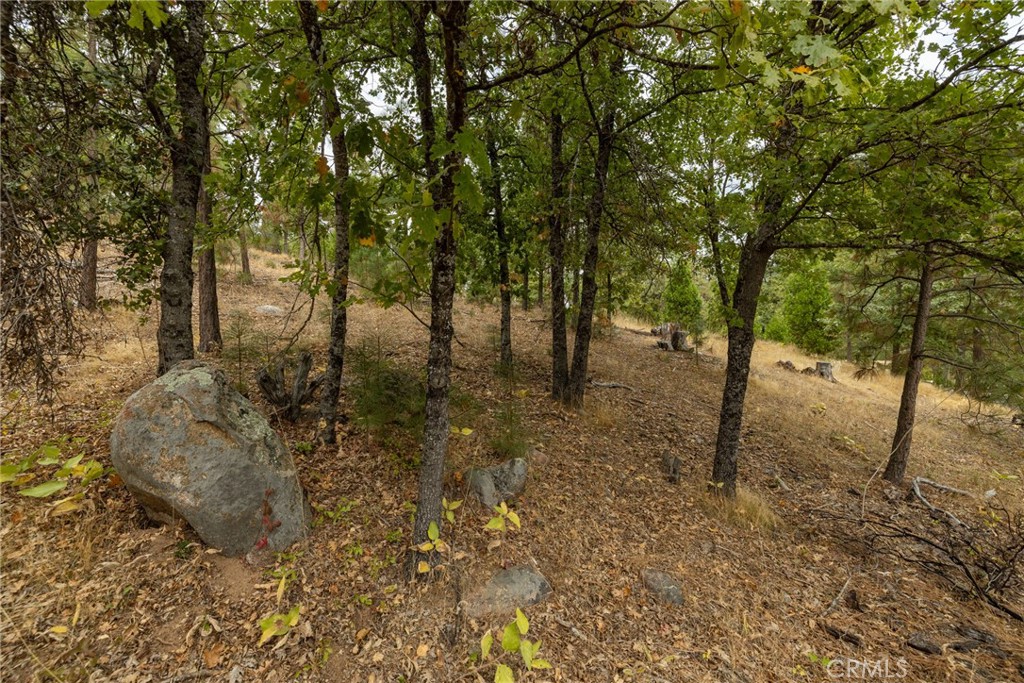 26 Timberview, North Fork, CA 93643