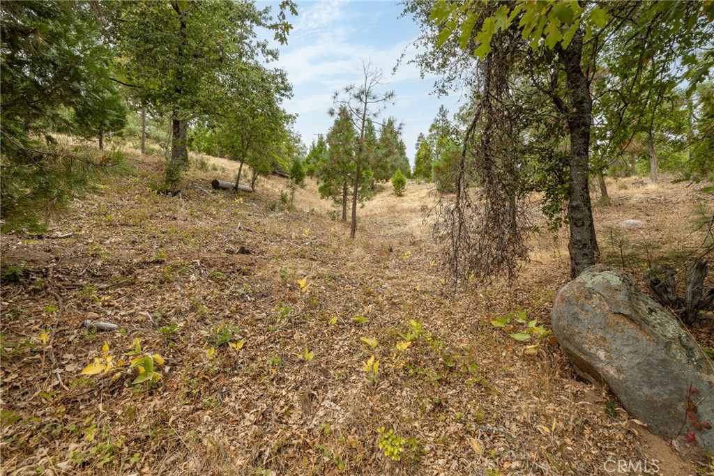 26 Timberview, North Fork, CA 93643