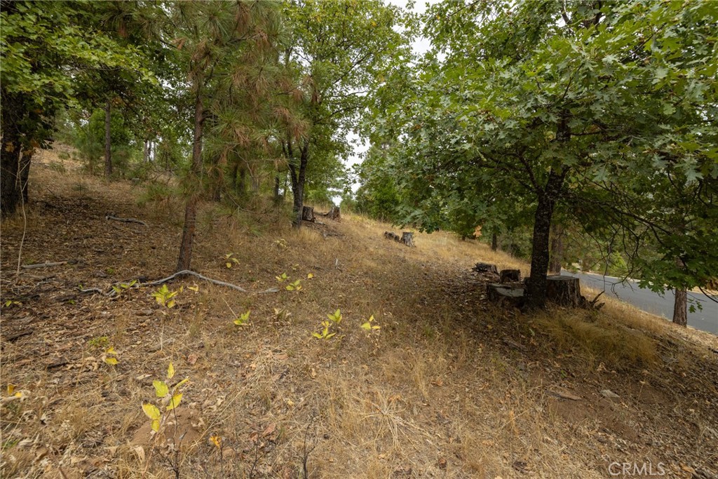 26 Timberview, North Fork, CA 93643